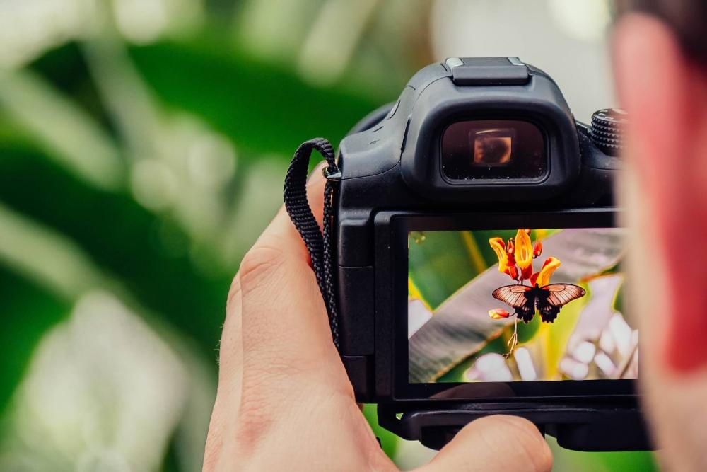 Tips Fotografi untuk Pemula: Teknik Dasar agar Hasil Jepretan Makin Tajam